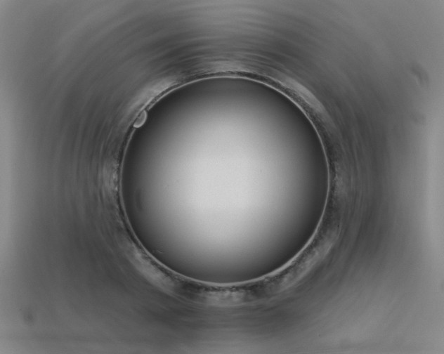 X0000113280793200909141224