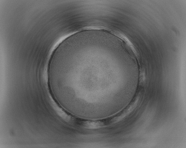 X0000113280795200909141224