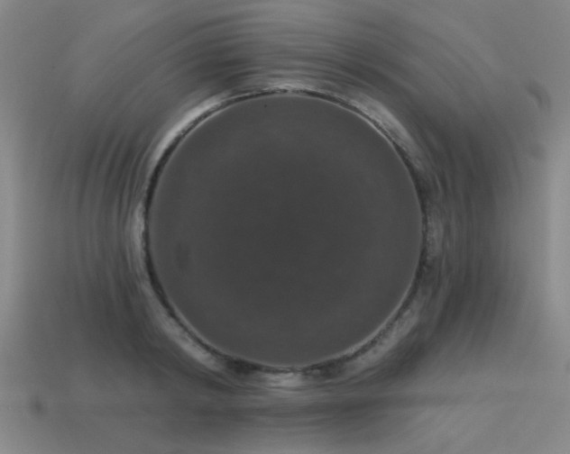 X0000113280798200909141224