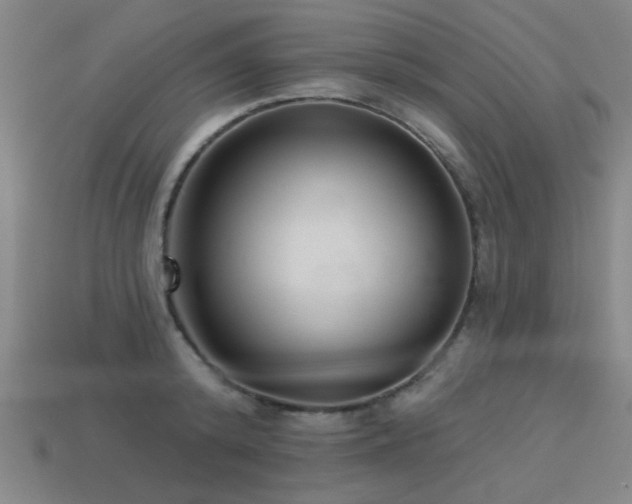 X0000113280800200909141224