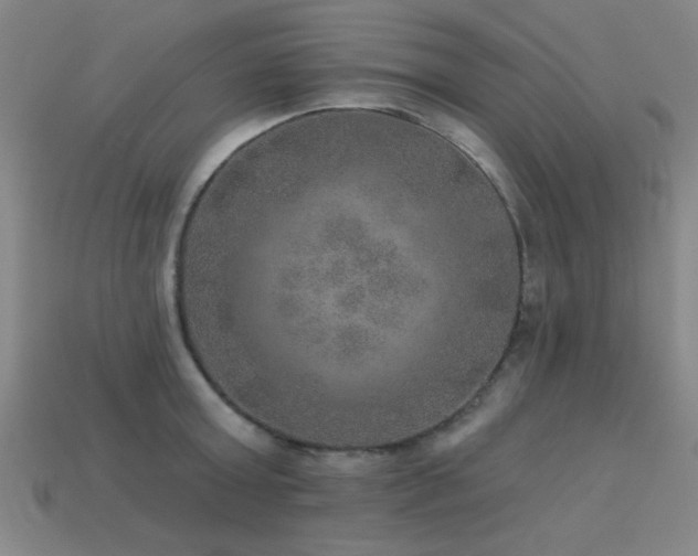 X0000113280803200909141224