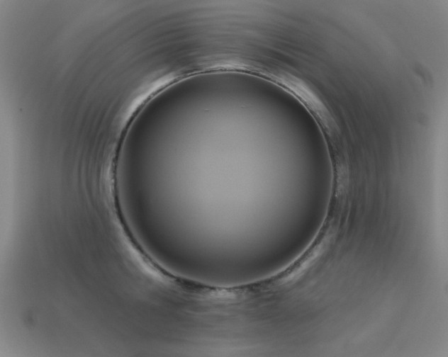 X0000113280806200909141224