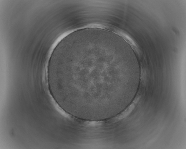 X0000113280808200909141224