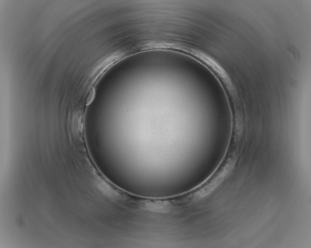 X0000113280809200909141224