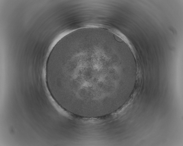 X0000113280811200909141224