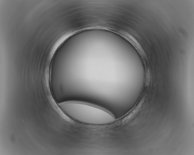 X0000113280812200909141224