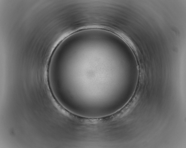 X0000113280813200909141224