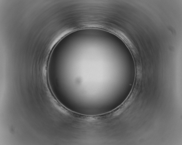 X0000113280814200909141224