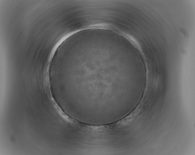 X0000113280816200909141224