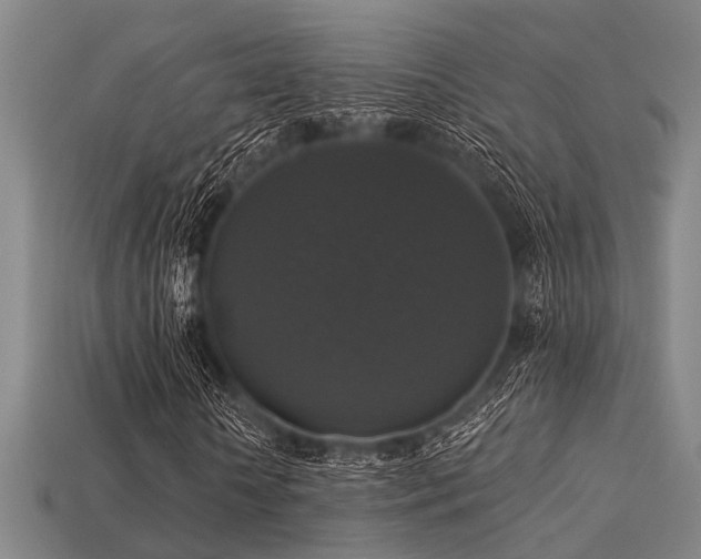 X0000113280818200909141223