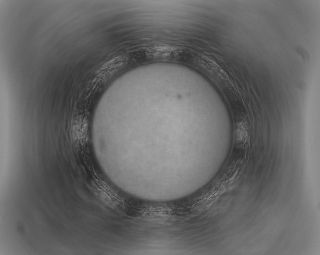 X0000113280820200909141223