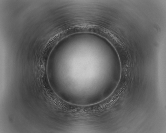 X0000113280821200909141223