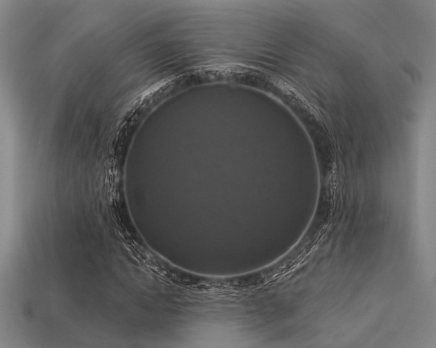 X0000113280822200909141223