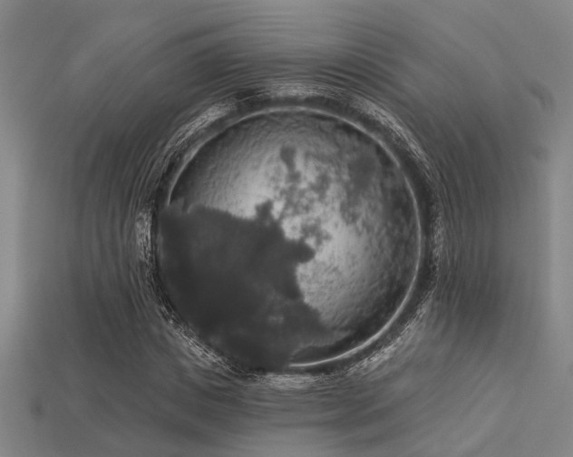 X0000113280825200909141223