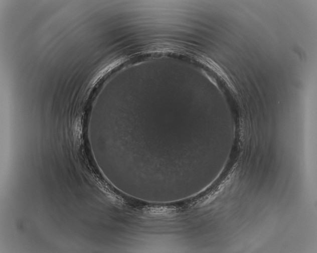 X0000113280826200909141223