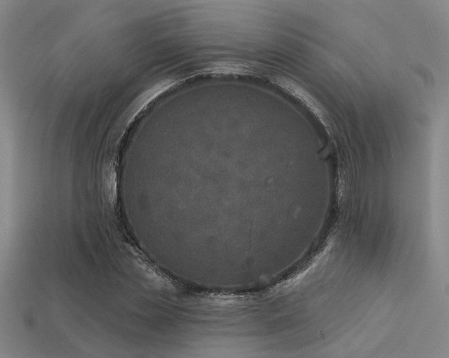 X0000113280829200909141223