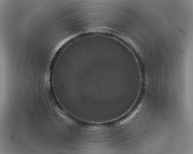 X0000113280830200909141223