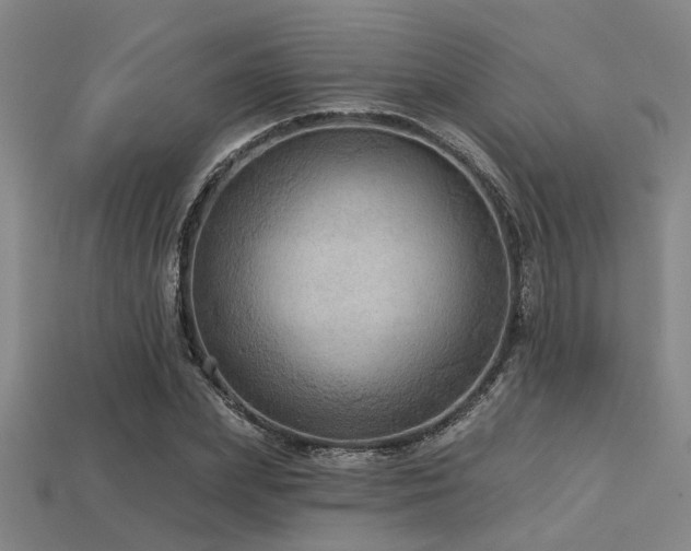 X0000113280831200909141223