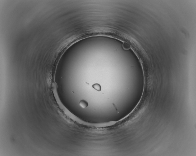 X0000113280833200909141223