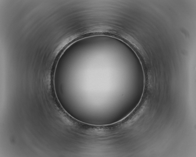 X0000113280834200909141223