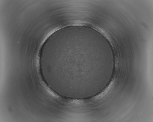 X0000113280835200909141223