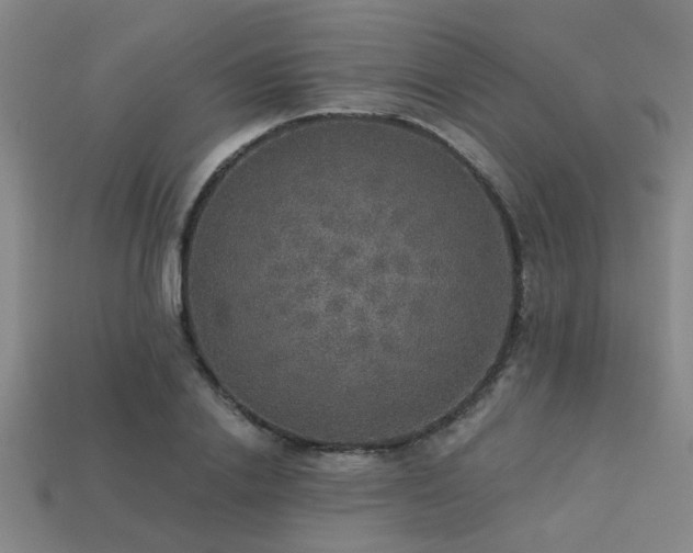 X0000113280838200909141223