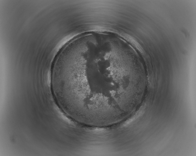 X0000113280839200909141223