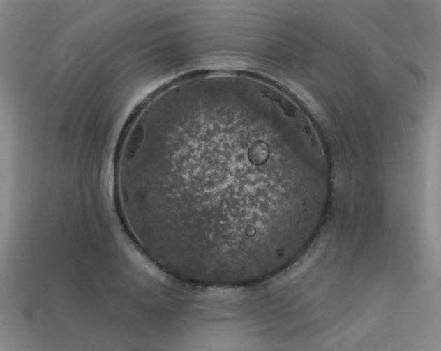 X0000113280840200909141223