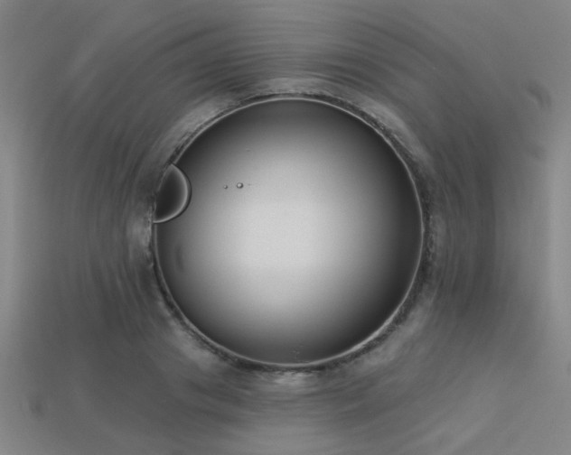 X0000113280841200909141223