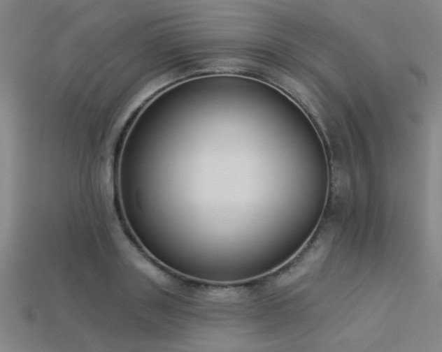 X0000113280843200909141223