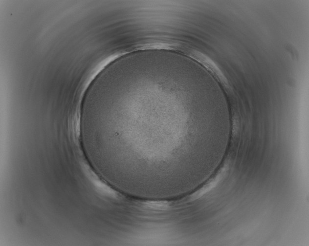 X0000113280844200909141223