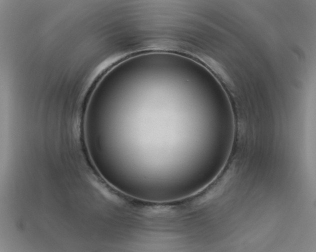 X0000113280846200909141223