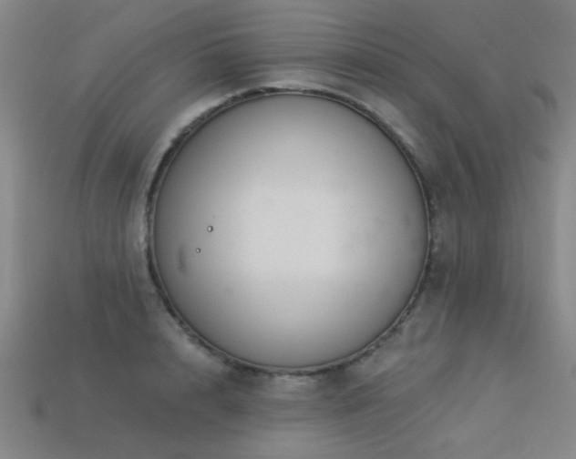 X0000113280848200909141223