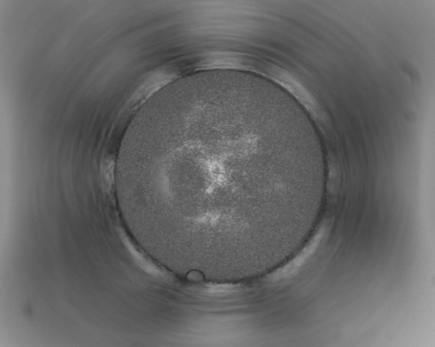 X0000113280849200909141223