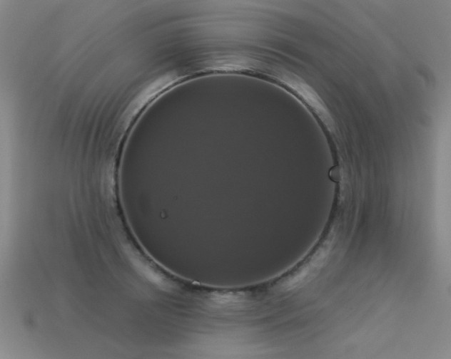 X0000113280850200909141223