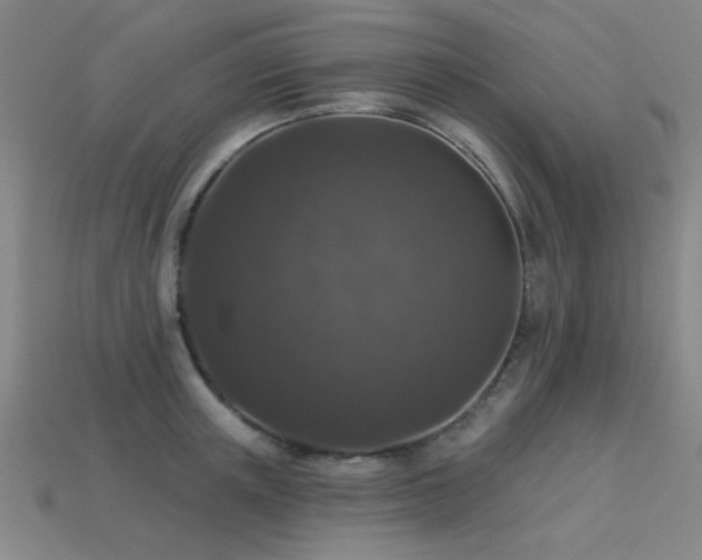 X0000113280851200909141223