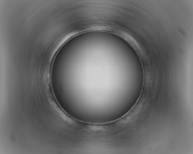 X0000113280852200909141223