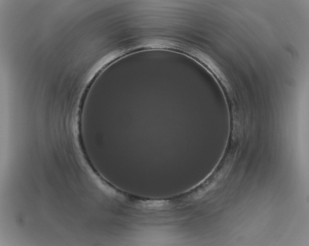 X0000113280853200909141223