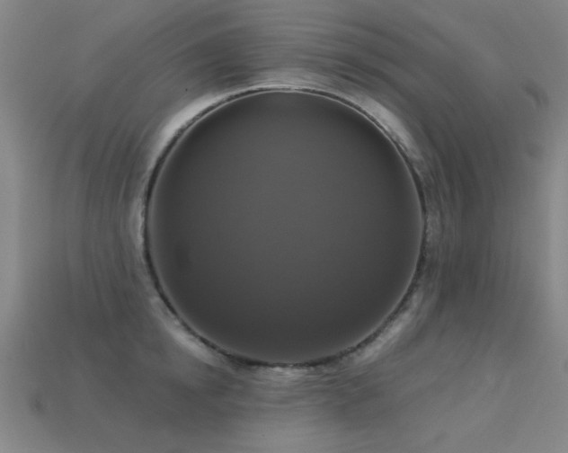 X0000113280854200909141223