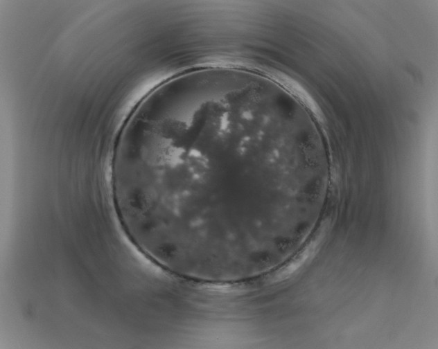 X0000113280855200909141223