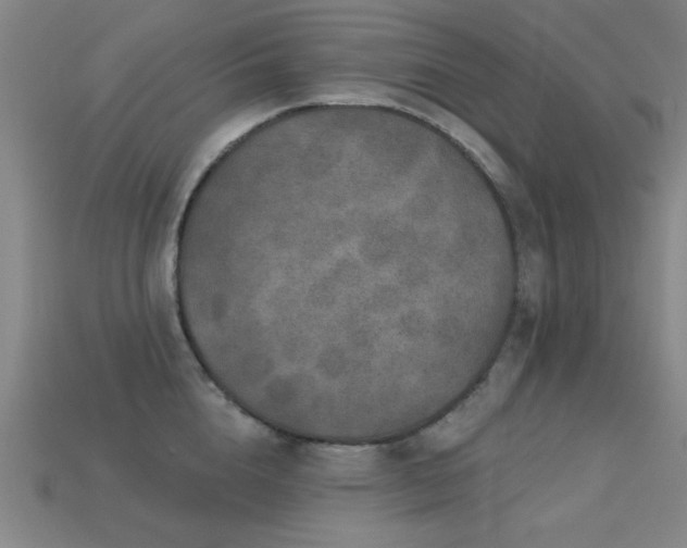 X0000113280856200909141223