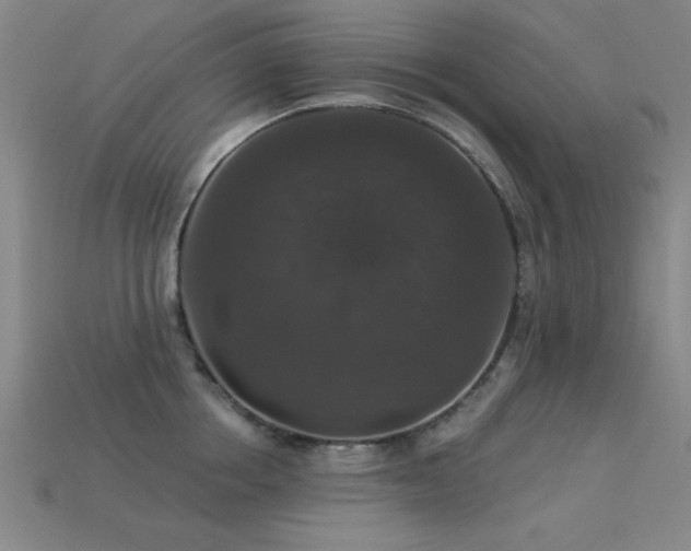 X0000113280858200909141223