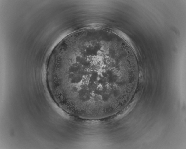 X0000113280859200909141223