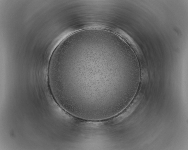 X0000113280860200909141223