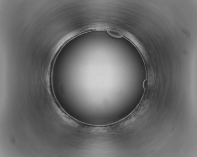 X0000113280861200909141223