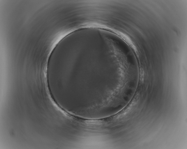 X0000113280863200909141224