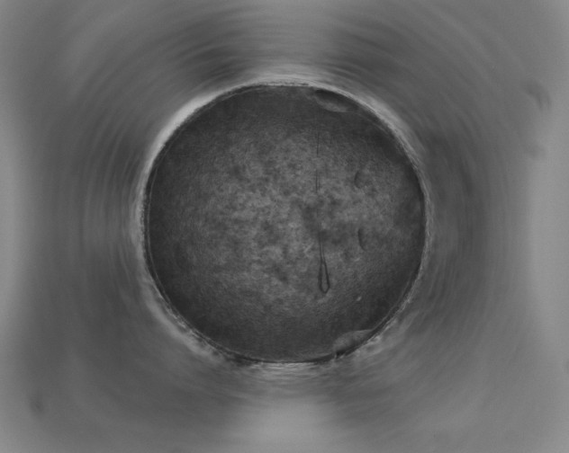 X0000113280864200909141224