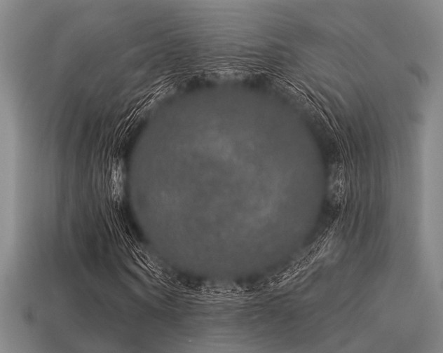 X0000113280866200909141223