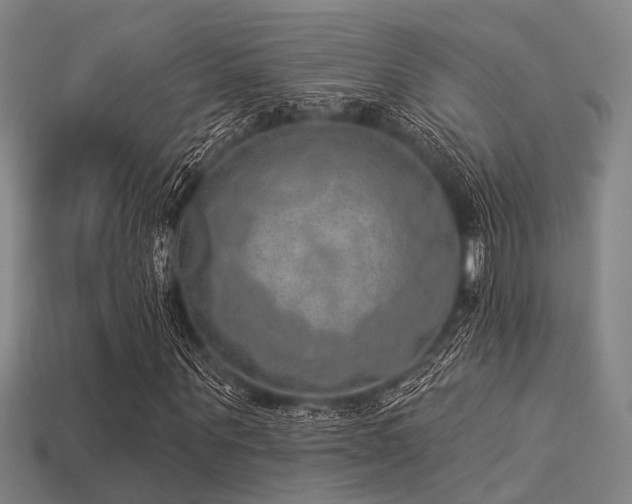 X0000113280867200909141223