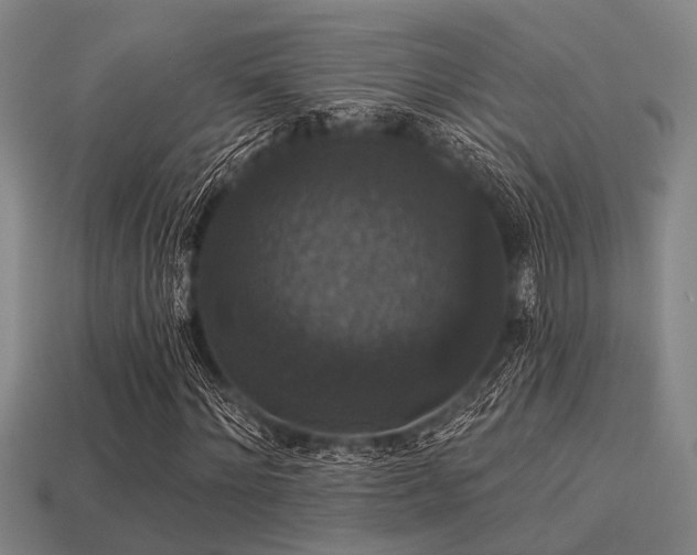 X0000113280868200909141223